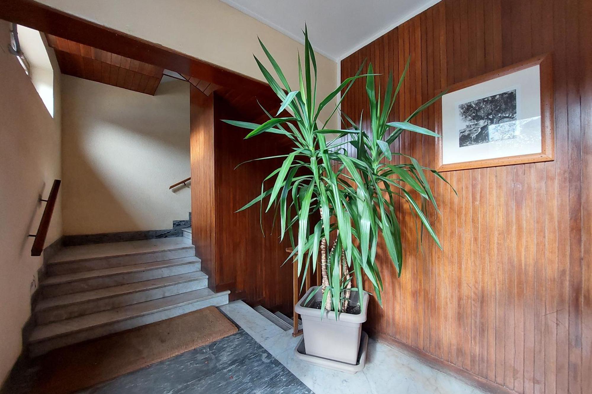 San Pietro'S Flat Apartment Roma Exterior foto